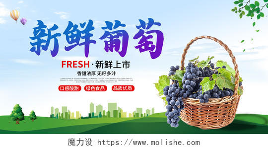 绿色插画新鲜葡萄水果促销宣传展板葡萄海报